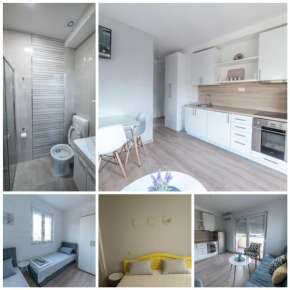 Welcome Apartment